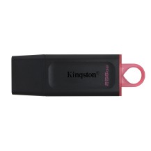 Kingston Technology DataTraveler Exodia - USB 3.2 Flash Drive
