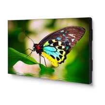 Sharp UN552 LED