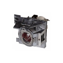 Viewsonic RLC-113 projector lamp