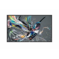 Philips 55BDL3650QE/00 Signage Display Digital signage flat panel 138.7 cm (54.6') Wi-Fi 350 cd/m² 4K Ultra HD Black Built-in...