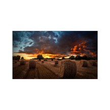 Samsung LH55VMBUBGBXGO Signage Display Digital signage flat panel 139.7 cm (55') IPS 500 cd/m² Full HD Black
