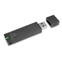 Kingston Technology IronKey Basic D250 64Gb USB flash drive USB Type-A 2.0 Black