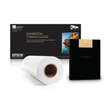 Epson S045000 art paper