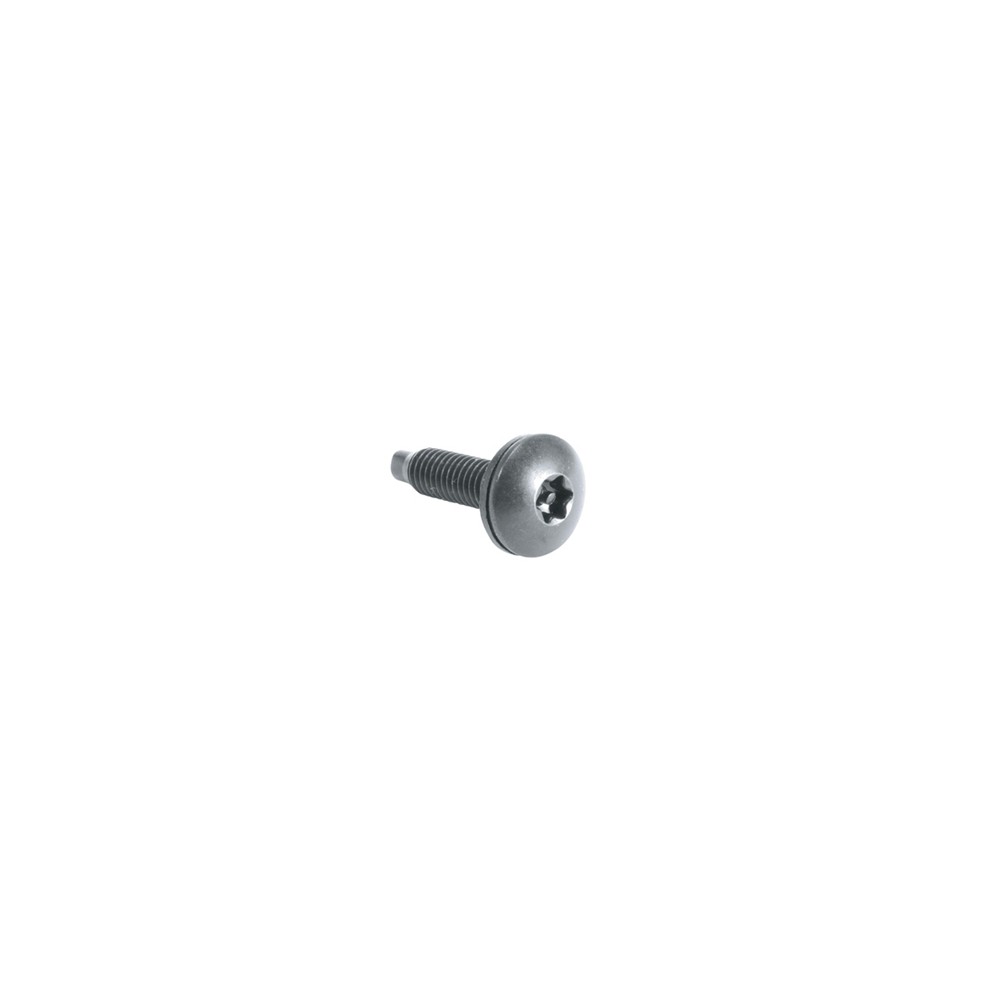 Middle Atlantic Products HTX rack accessory Rack screws