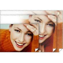 Epson Singleweight Matte Paper 36' x 131.7' printing paper