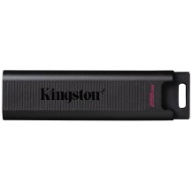 Kingston Technology DataTraveler 256GB Max 1000R/900W USB 3.2 Gen 2