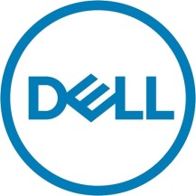 DELL 161-BBPH internal hard drive 4 TB 7200 RPM 3.5' NL-SAS