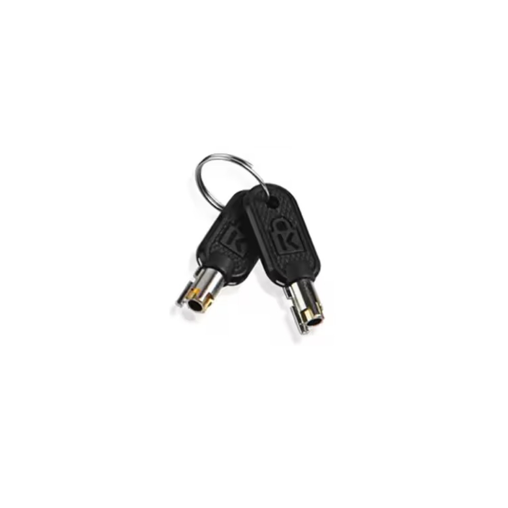 Lenovo 4Z10P40249 cable lock accessory Key Grey Lenovo 4Z10P40249 cable lock accessory Key Grey
