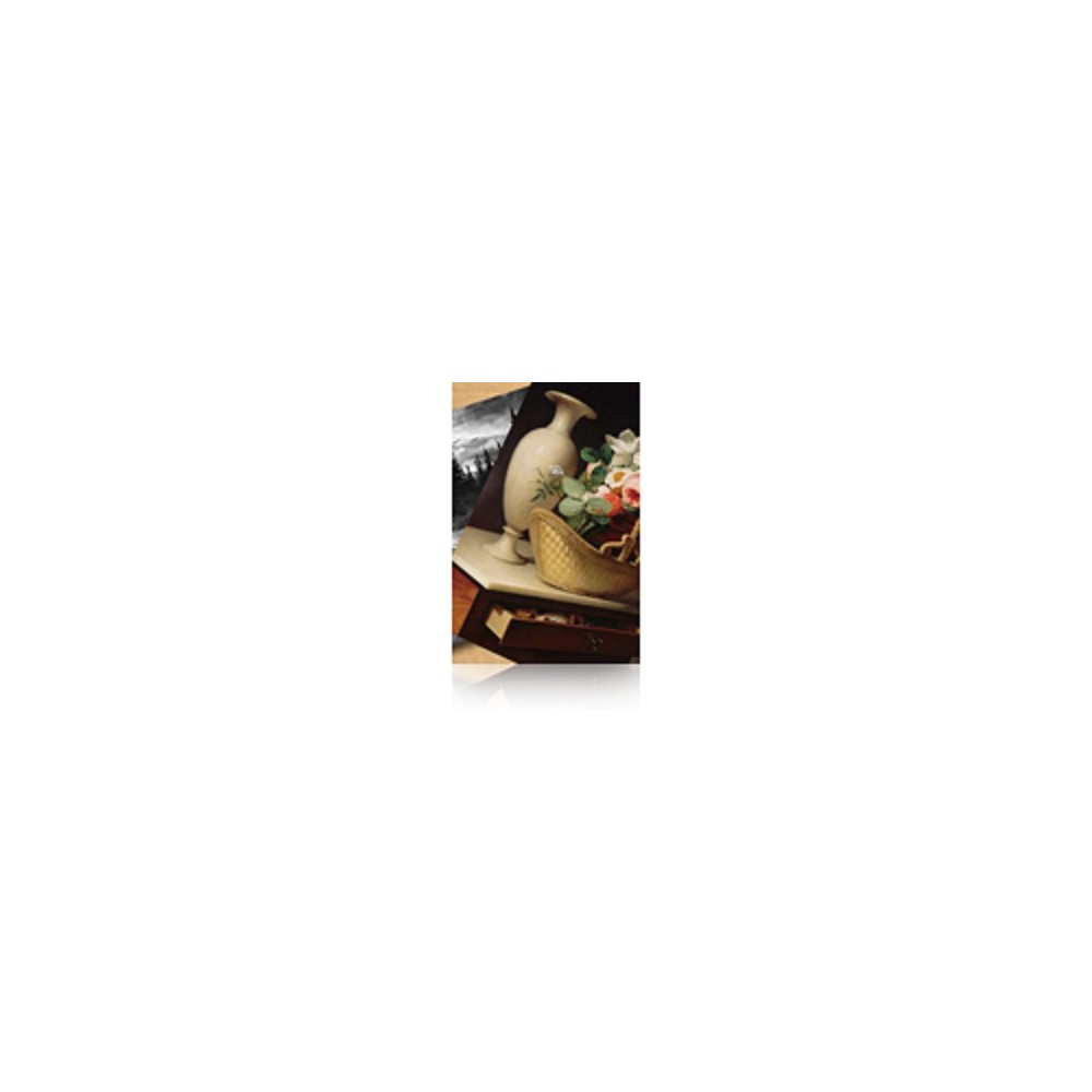 Epson Premium Luster Photo Paper, 60' x 30,5 m, 260g/m²