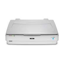 Epson Expression 13000XL Flatbed scanner 2400 x 4800 DPI A3 White