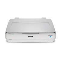 Epson Expression 13000XL Flatbed scanner 2400 x 4800 DPI A3 White